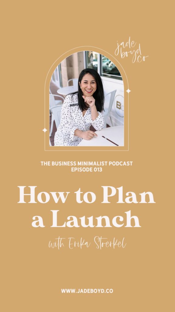 How to Plan a Launch with Erika Stoerkel
